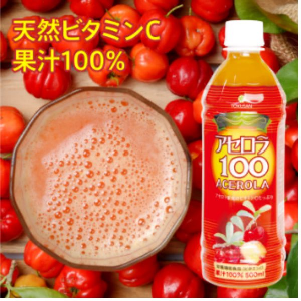 沖縄特産販売アセロラ100の特徴
