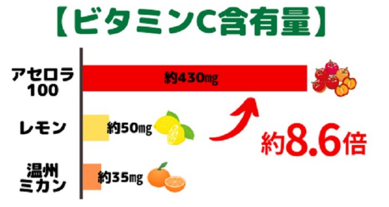 アセロラジュースの驚くべき健康効果(アセロラ100)