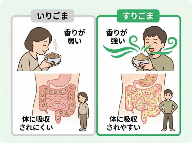 いりごまとすりごまの決定的な違いとは