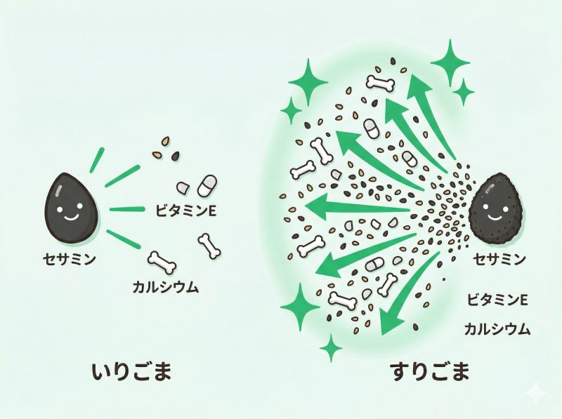 栄養を損しないために知っておきたいこと